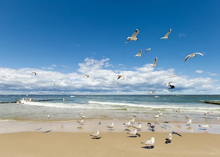 Appartement Amberhome Miedzyzdroje